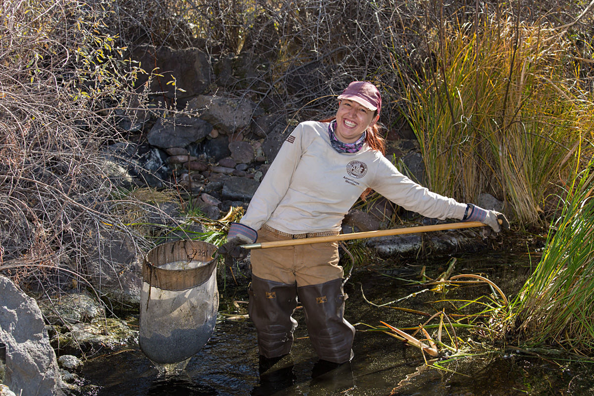 American Conservation Experience